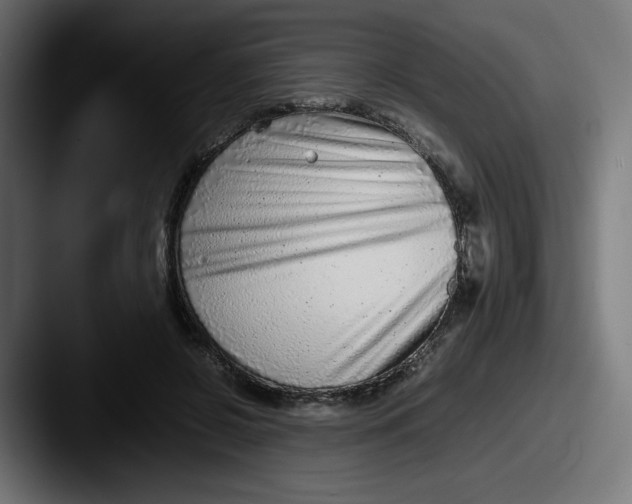 X0000087600550200705181239