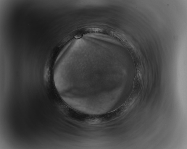 X0000087600551200705181239