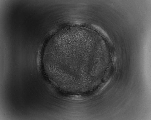 X0000087600552200705181239