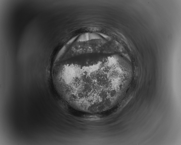X0000087600553200705181239