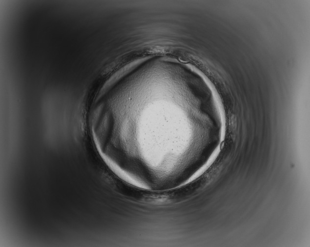 X0000087600554200705181239