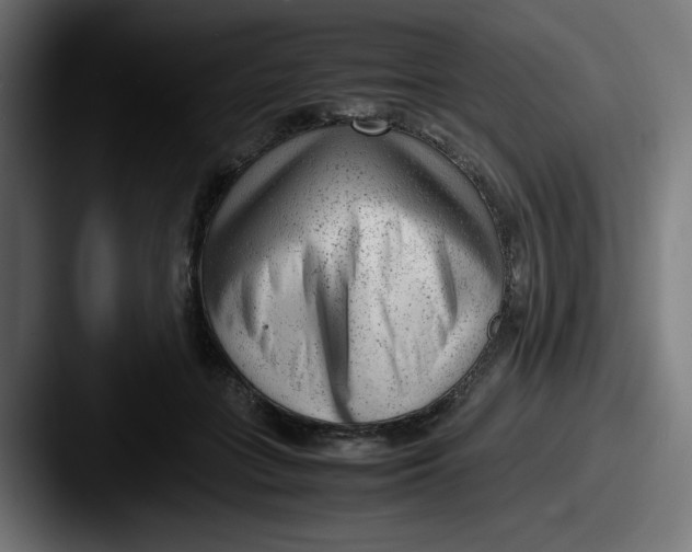 X0000087600555200705181239