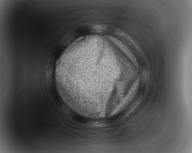X0000087600557200705181239