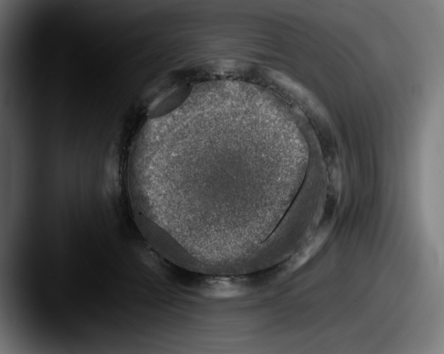 X0000087600558200705181239