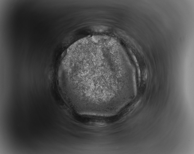 X0000087600559200705181239