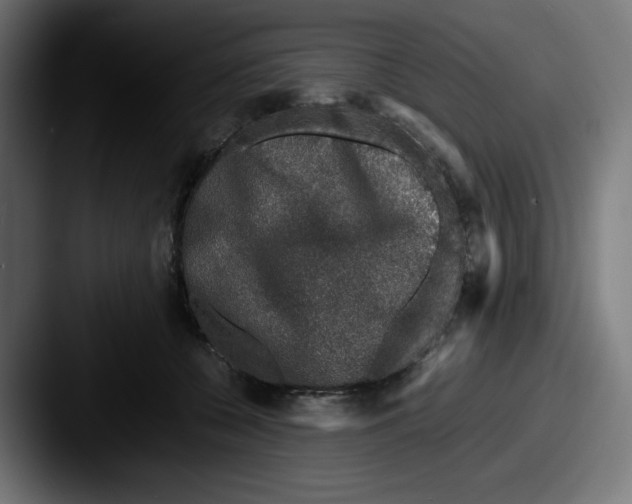 X0000087600560200705181239