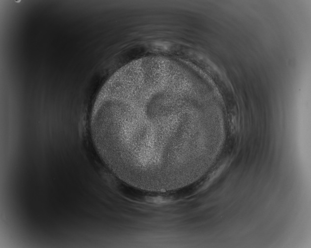 X0000087600561200705181239