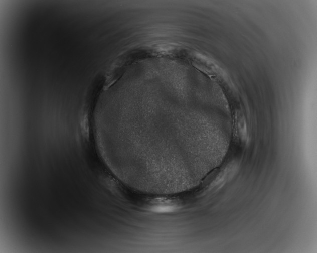 X0000087600562200705181239