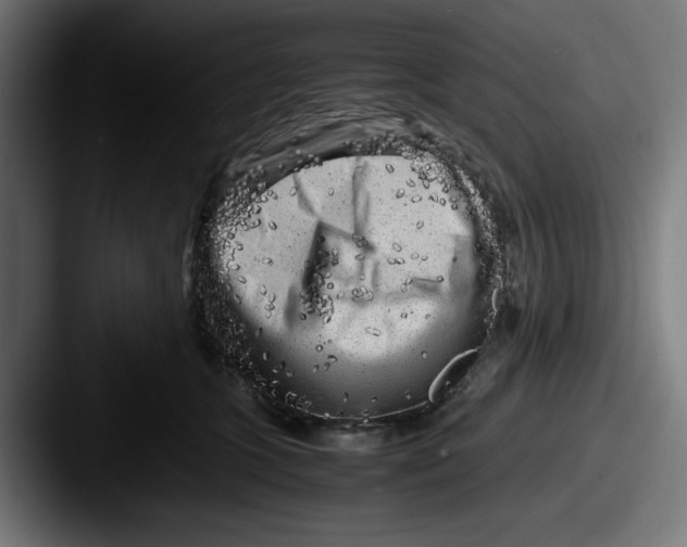 X0000087600563200705181239