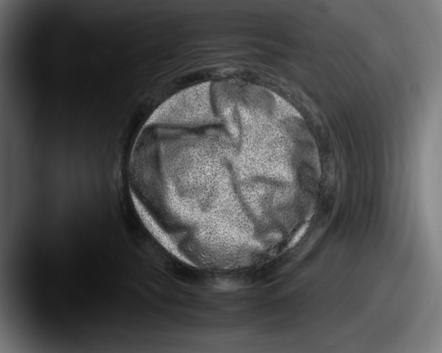 X0000087600565200705181239