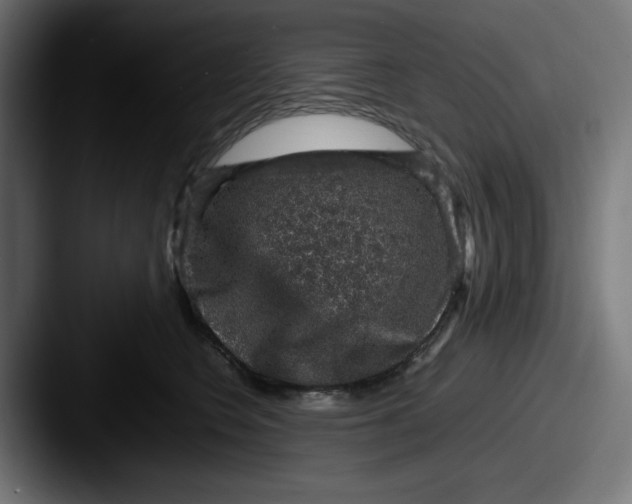 X0000087600566200705181239