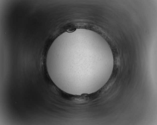 X0000087600567200705181239