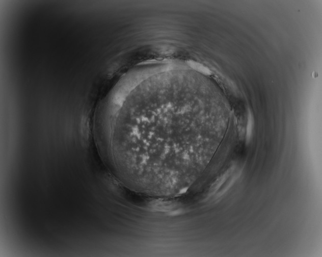 X0000087600568200705181239