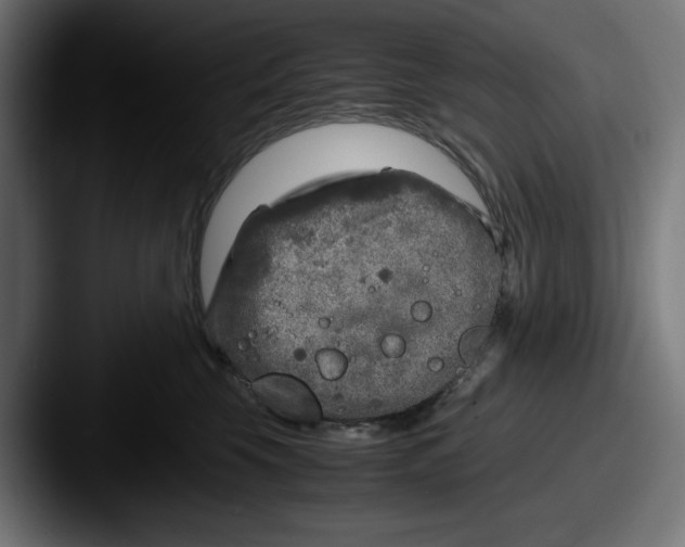 X0000087600569200705181239