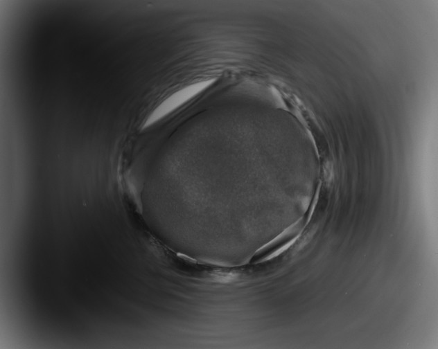 X0000087600570200705181239