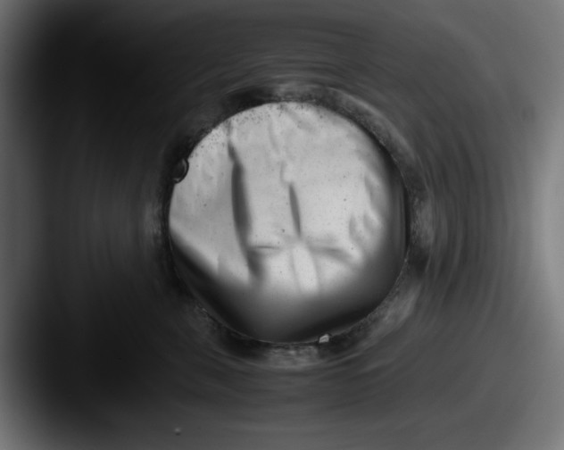 X0000087600571200705181239