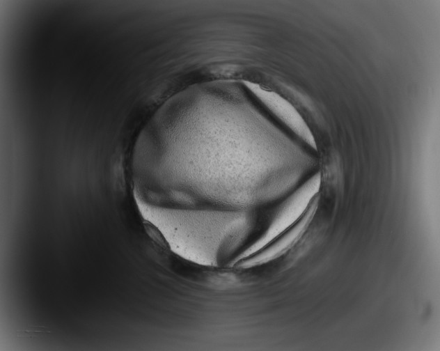 X0000087600572200705181239
