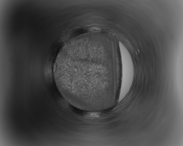 X0000087600573200705181239