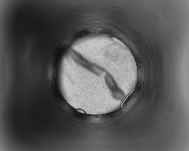 X0000087600574200705181239