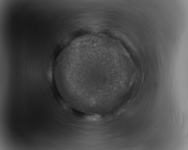 X0000087600576200705181239
