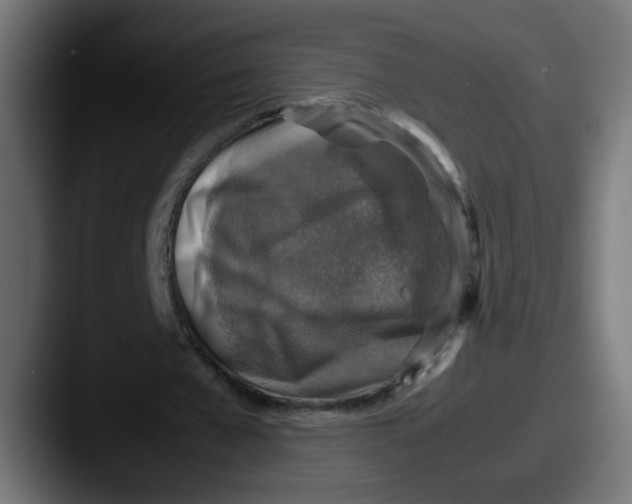 X0000087600577200705181239