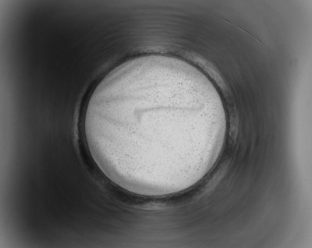 X0000087600578200705181239