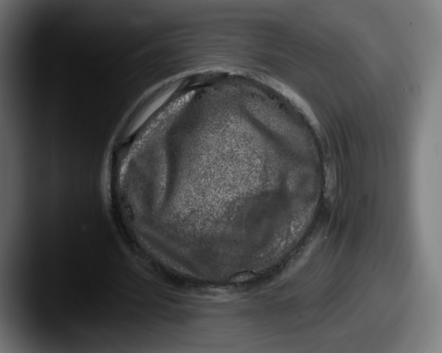 X0000087600580200705181239