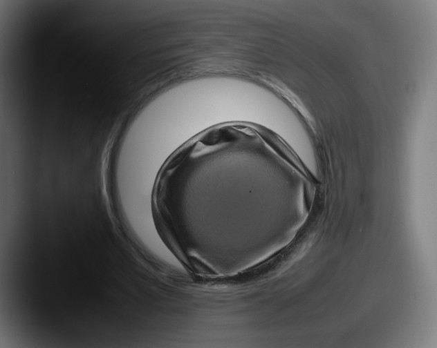 X0000087600581200705181239