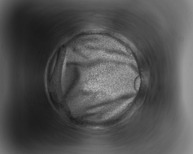 X0000087600582200705181239