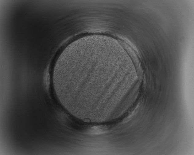 X0000087600584200705181239