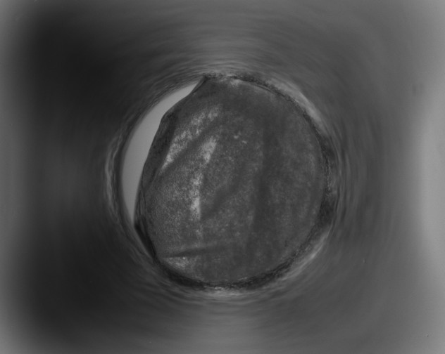 X0000087600585200705181239