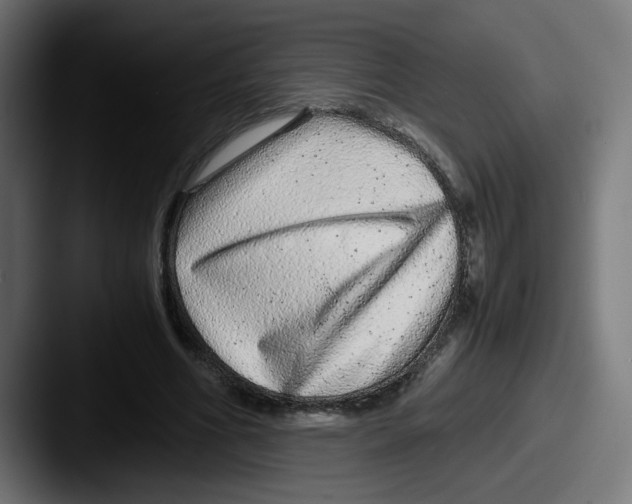 X0000087600586200705181239
