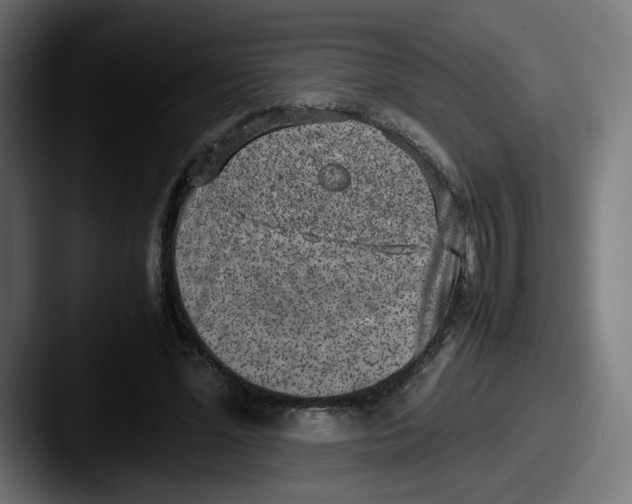 X0000087600588200705181239