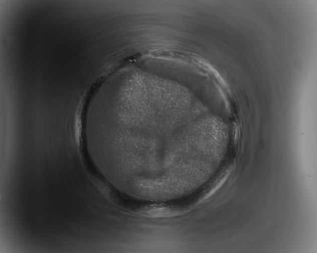X0000087600589200705181239
