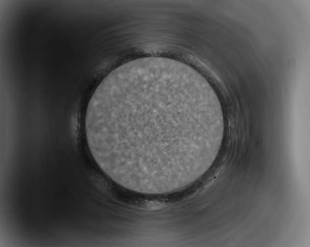 X0000087600592200705181239