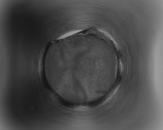 X0000087600593200705181239