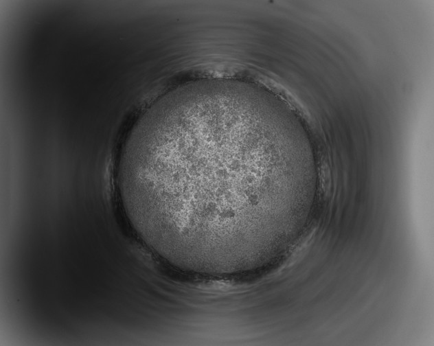 X0000087600594200705181239