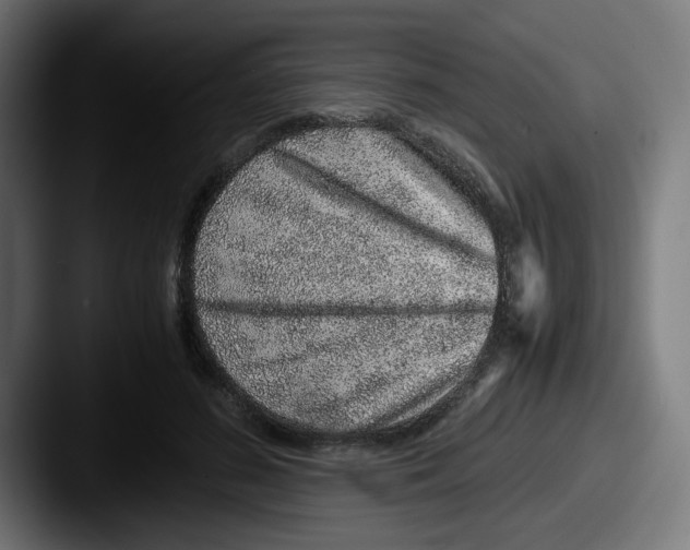 X0000087600596200705181238