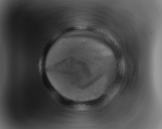 X0000087600598200705181238