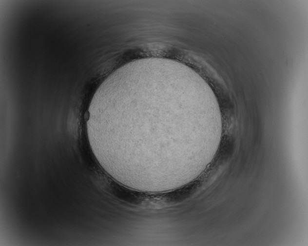 X0000087600599200705181238