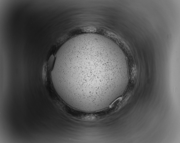 X0000087600600200705181238