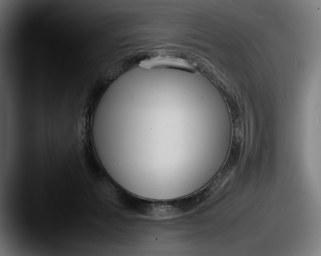 X0000087600605200705181238