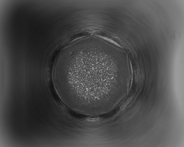 X0000087600606200705181238