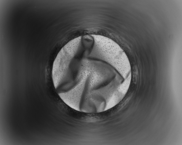 X0000087600608200705181238