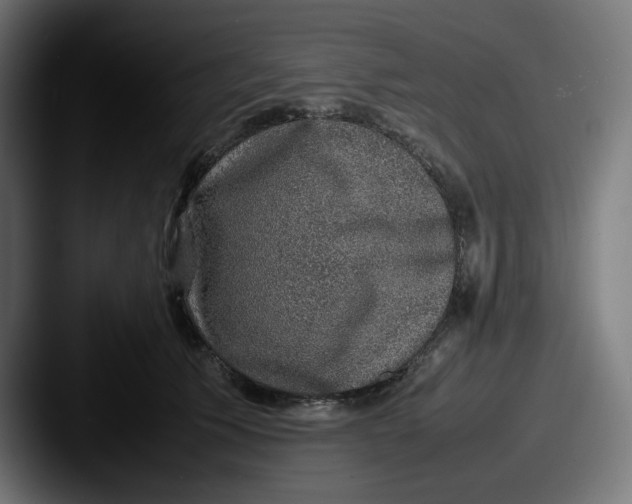 X0000087600609200705181238