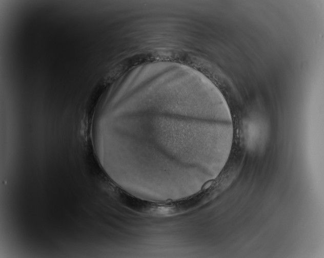 X0000087600610200705181238