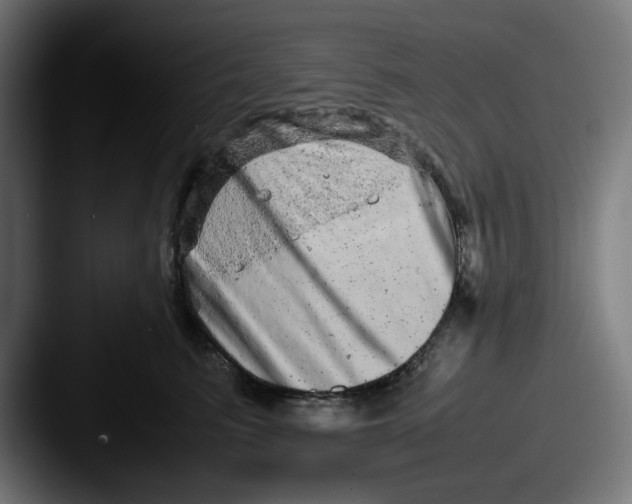 X0000087600615200705181238