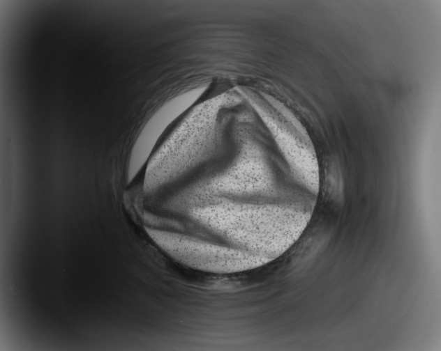 X0000087600616200705181238