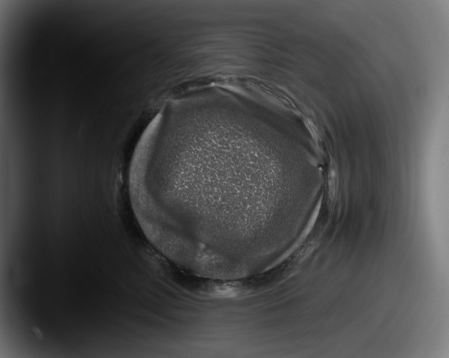 X0000087600618200705181238