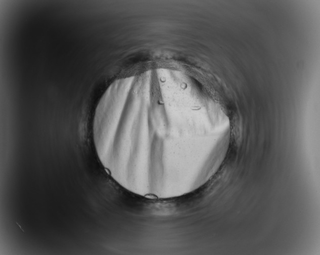 X0000087600619200705181238